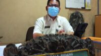 Penanganan Dinas Sosial, Bayi Ditelantarkan Kondisi Sehat