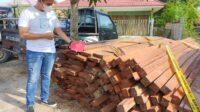 Ilegal Logging, Polres Kutim Amankan 25 kubik Kayu dan 3 Tersangka 8 Ilegal Logging, Polres Kutim Amankan 25 kubik Kayu dan 3 Tersangka