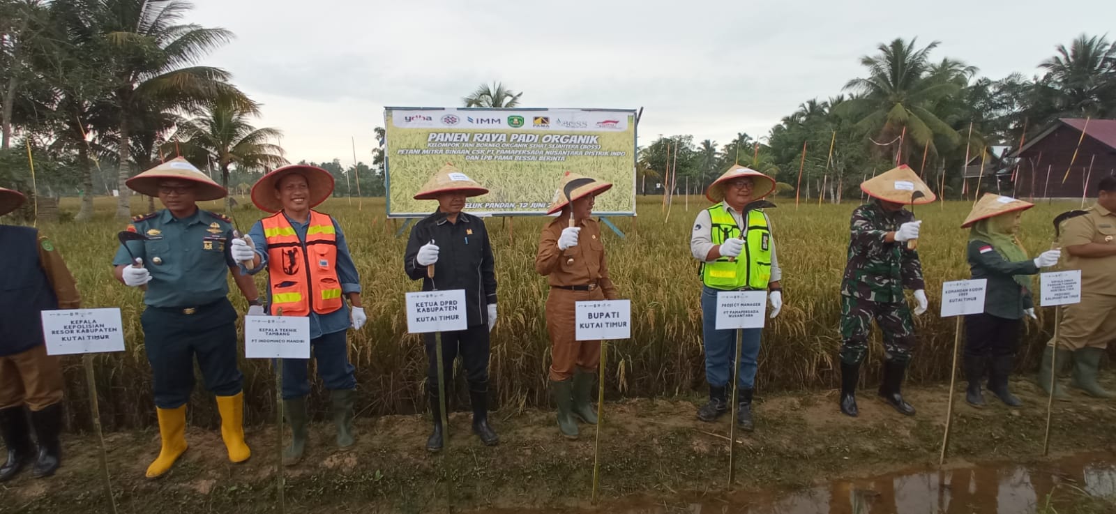 Panen Raya Padi Organik, Bupati Kutim; Ini Sungguh Luar Biasa