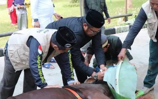 Hari Rayah Qurban, Wabup Sembeli 10 Ekor Sapi