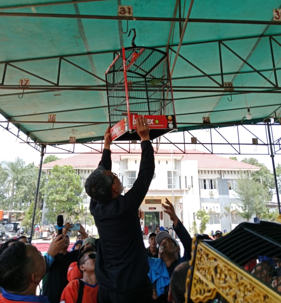 Ratusan Peserta Ramaikan Lomba Burung Bekicau Bupati Cup III