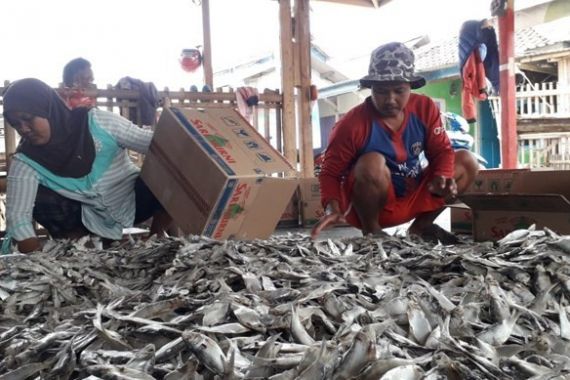 desa kronjo di kabupaten tangerang dikenal sebagai penghasil ikan asin dan otak otak foto radar banten 61