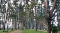 Pantai Tanah Merah Hasilkan PAD Tertinggi Untuk Kukar 3 Pantai Tanah Merah Hasilkan PAD Tertinggi Untuk Kukar