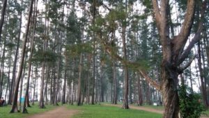 Pantai Tanah Merah Hasilkan PAD Tertinggi Untuk Kukar