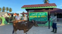 Sambut Idul Adha 1445 H, KPC Salurkan 59 Sapi Qurban