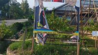 Pengrusakan Baliho Paslon KB-Kinsu di Kecamatan Kaubun Memicu Kekhawatiran Pemilu Tidak Damai