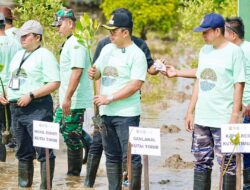 Jaga Lingkungan, 4000 Pohon Mangrove Ditanam di Pantai Teluk Lingga