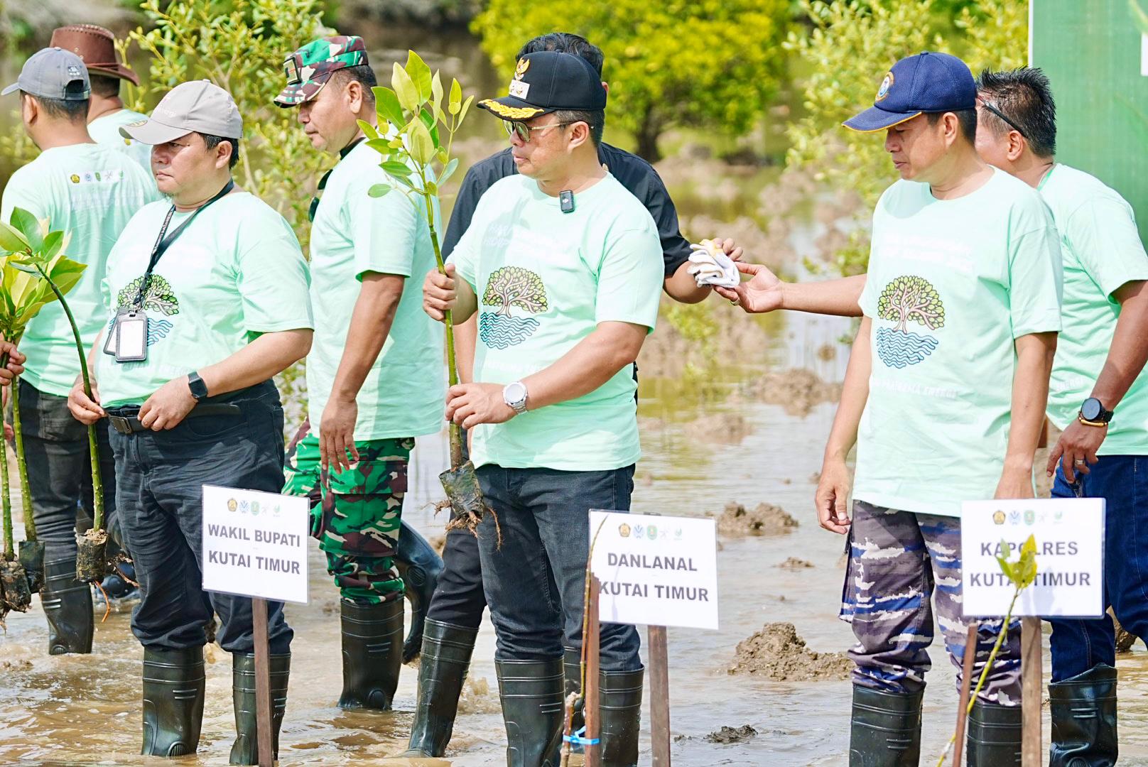 Jaga Lingkungan, 4000 Pohon Mangrove Ditanam di Pantai Teluk Lingga
