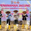 Ketahanan Pangan, Polres dan KPC Tanam Jagung di Area Pasca Tambang