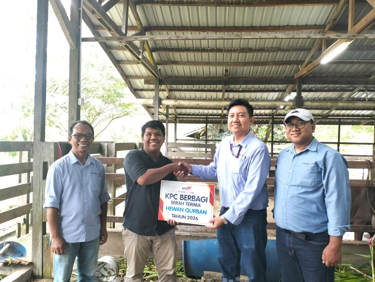 KPC Bagikan 65 Ekor Sapi Kurban untuk Masyarakat