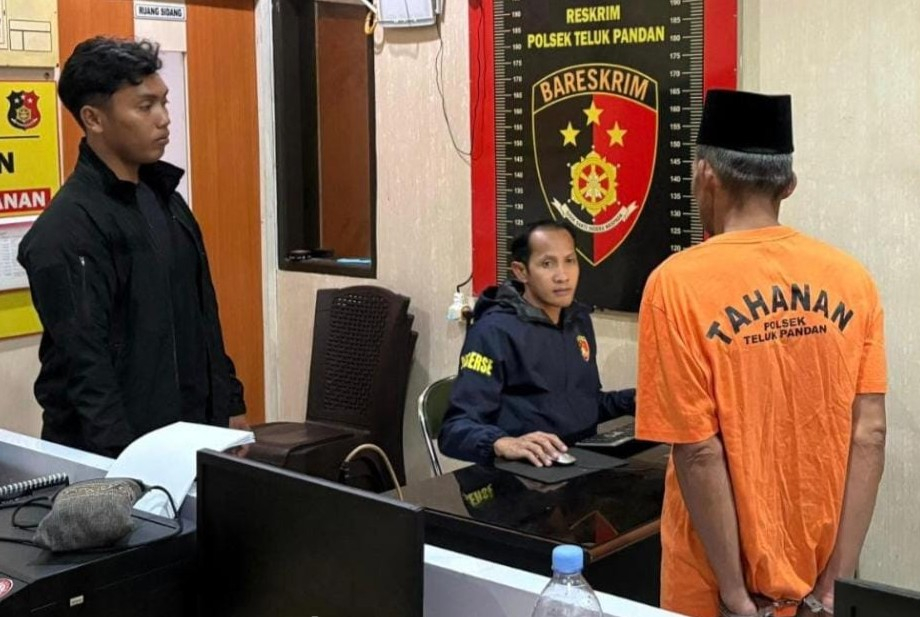 Kebakaran Lahan, Kakek 62 Tahun Diamankan Polsek Teluk Pandan